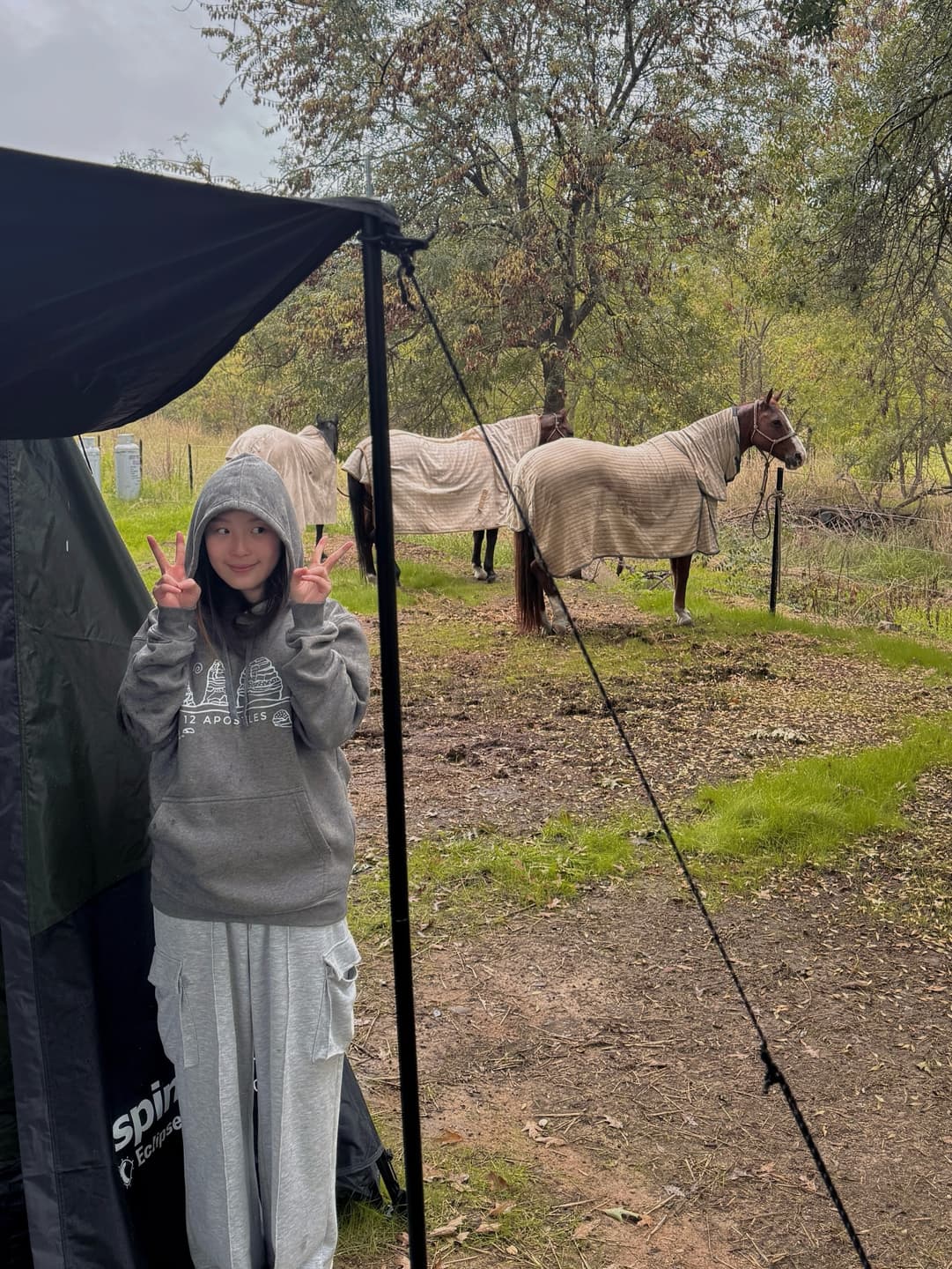 Easter Horse Riding Escape 8