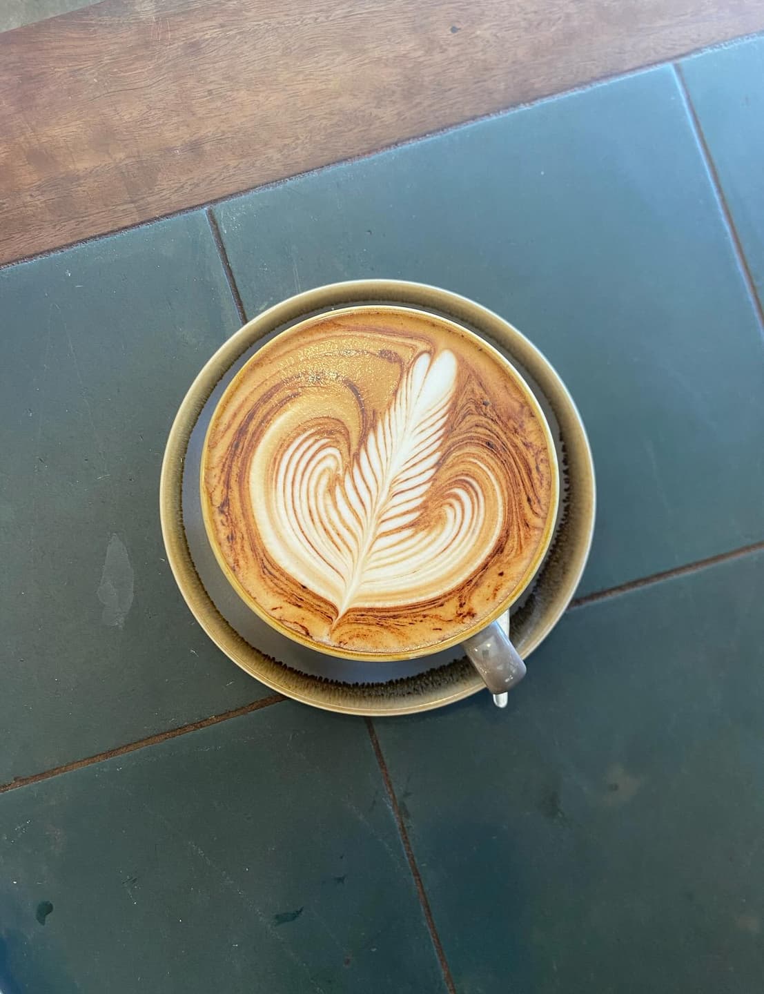 Barista 7