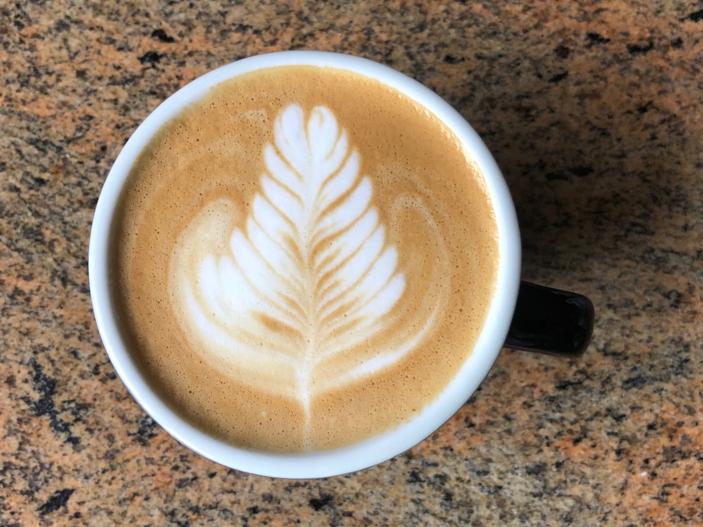 My recent Rosetta latte art