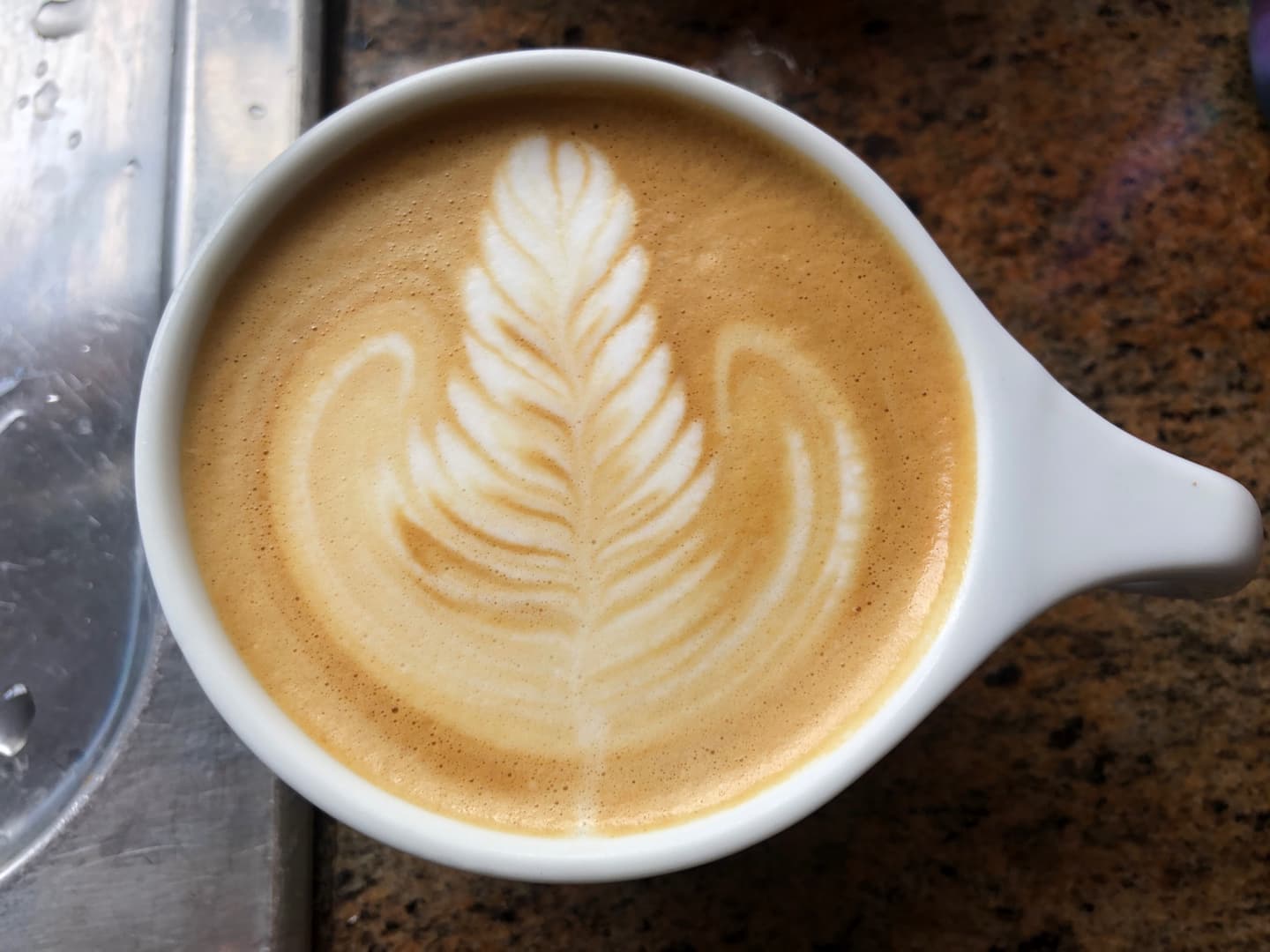 My recent Rosetta latte art 2