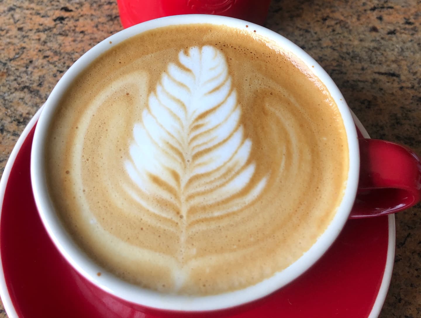 My recent Rosetta latte art 3