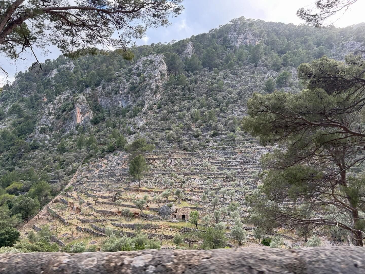 Serra de Tram 2