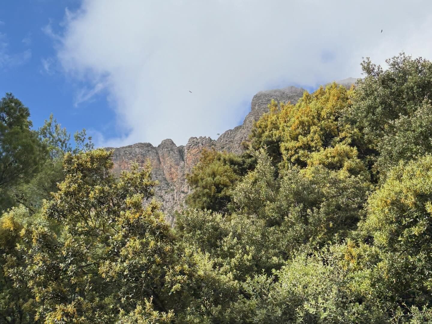 Serra de Tram 3