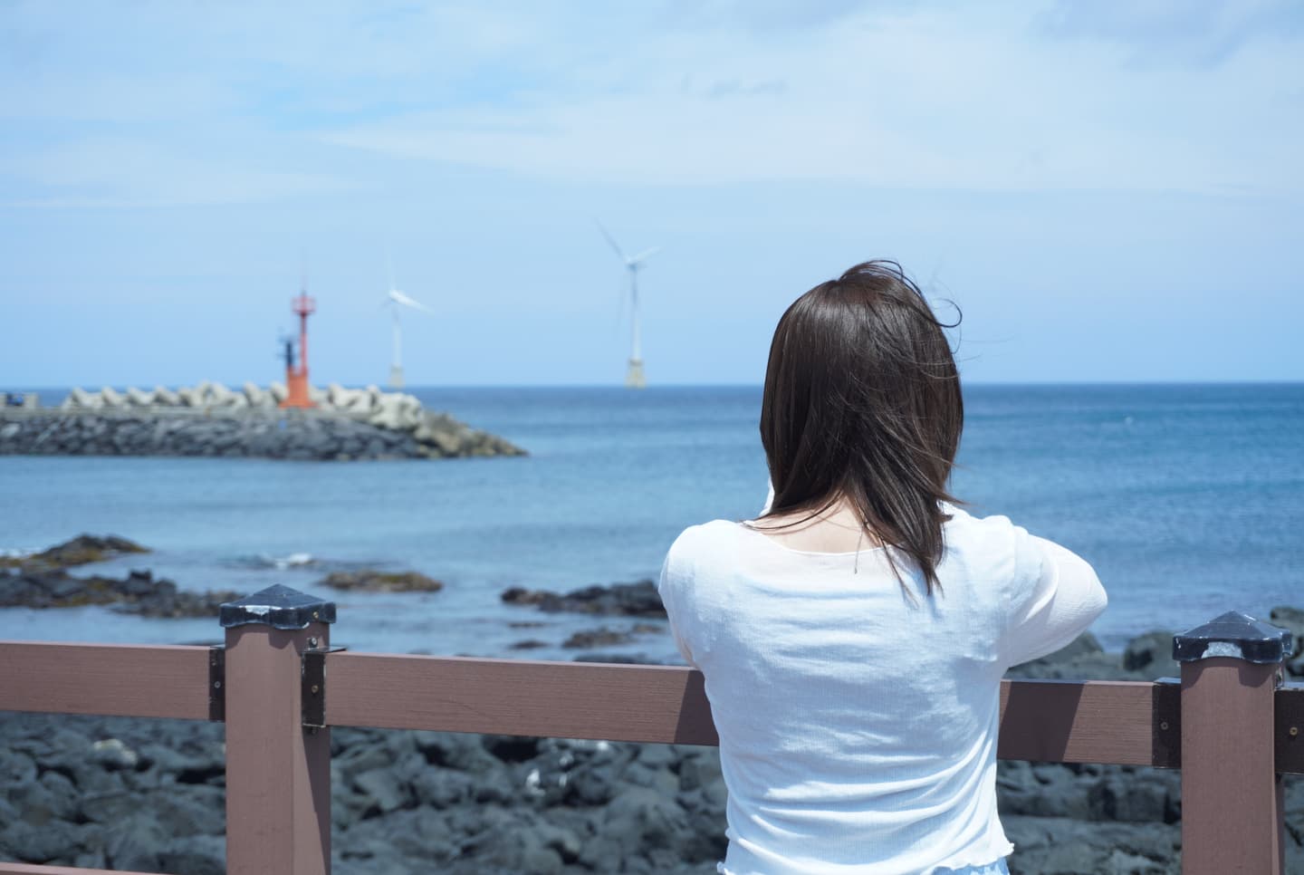 Jeju Neighbourhood Map 2
