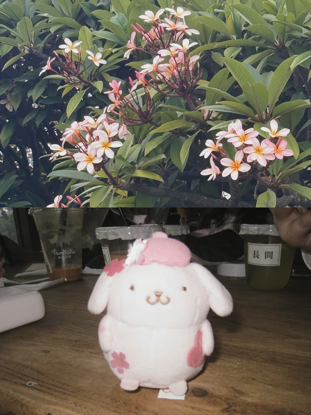 A post on Yuno 2
