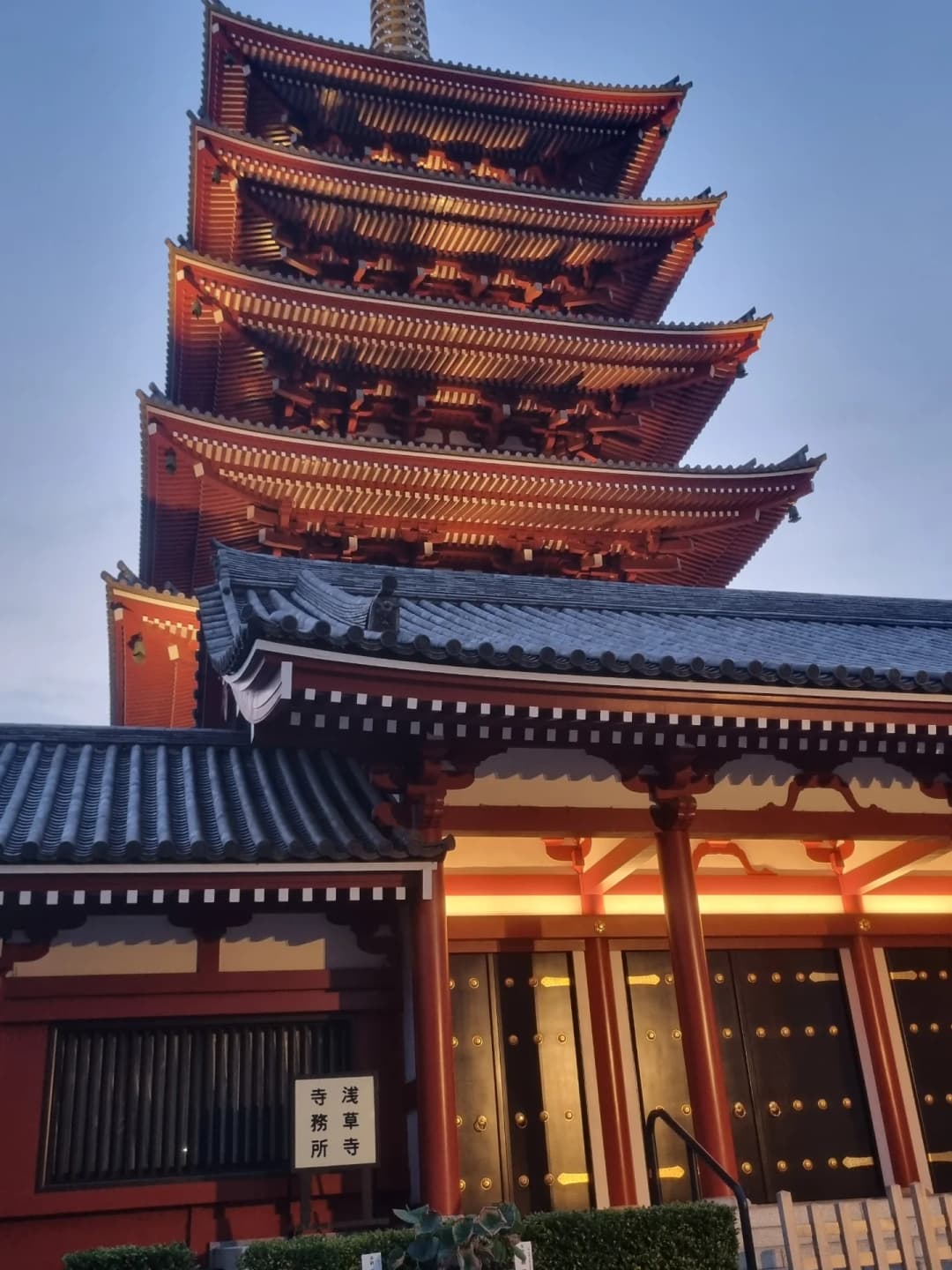 Tokyo Summer Vibes 3