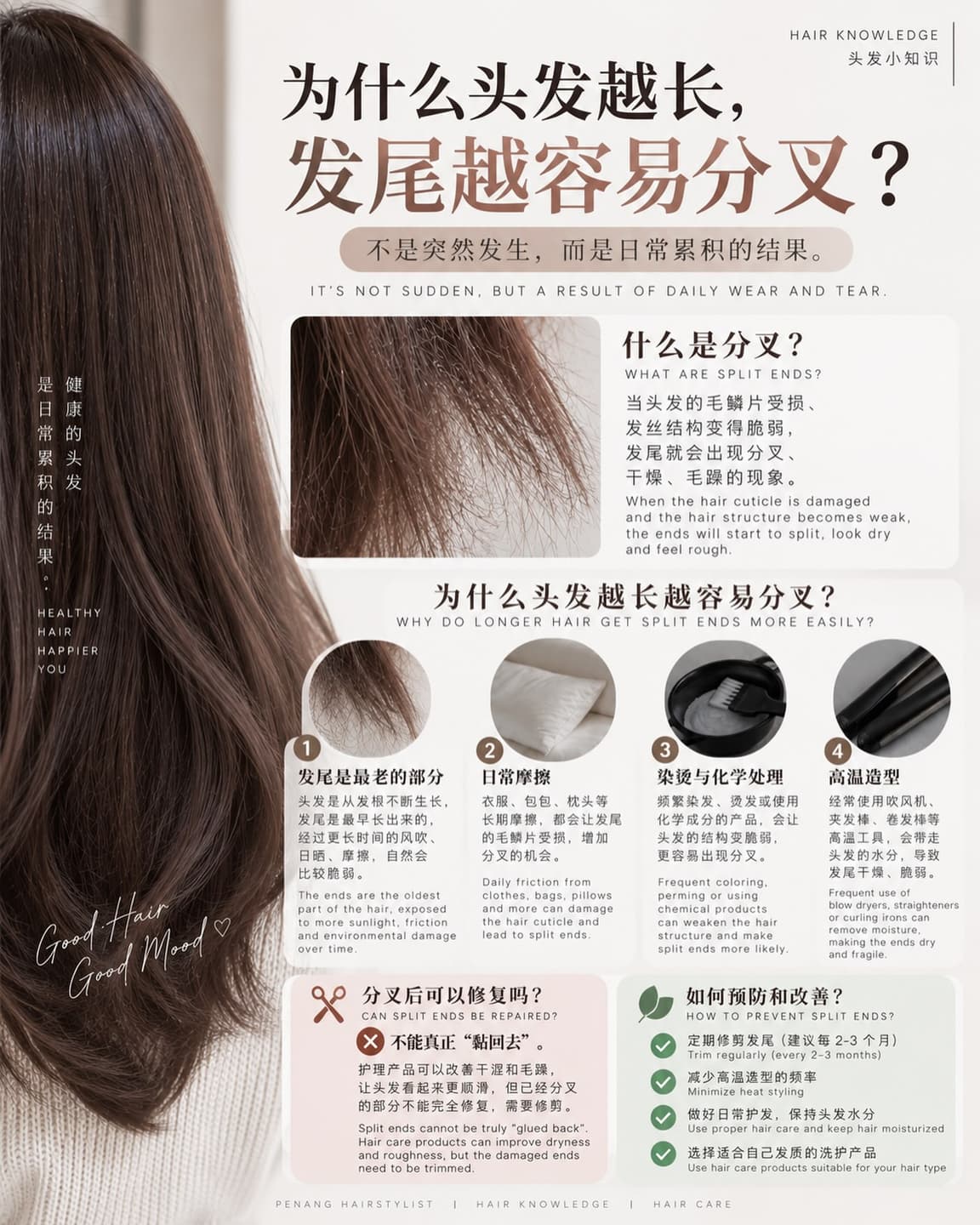 Split Ends: Causes and and Care