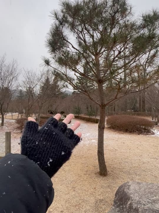 ❄️✨ 5