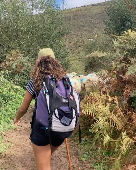 Basque Country Trekking Map 8