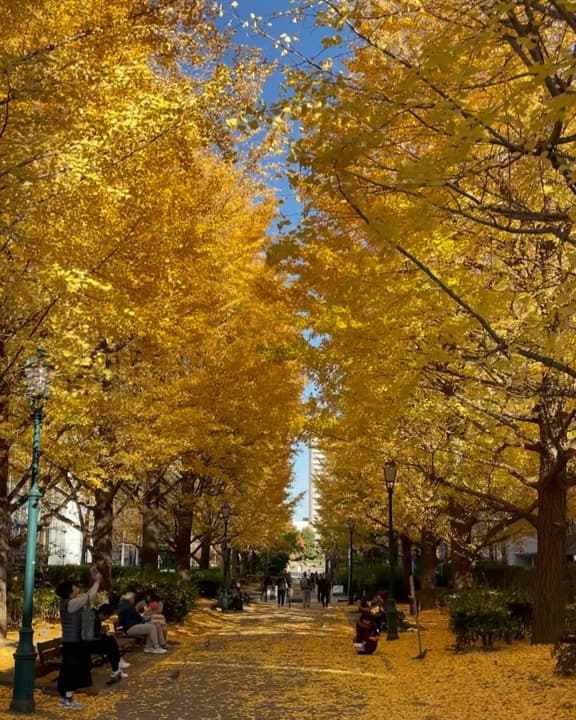 Our Autumn Leaves Map 2