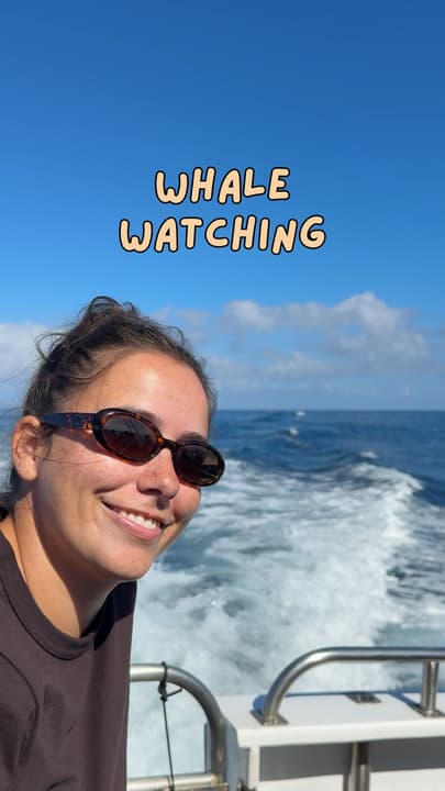 Kalbarri Whale Watching Expedition