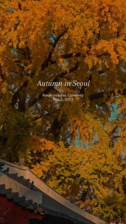 Sungkyunkwan University Autumn Map