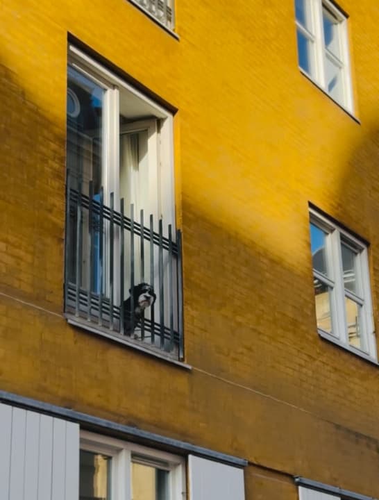 Copenhagen 4