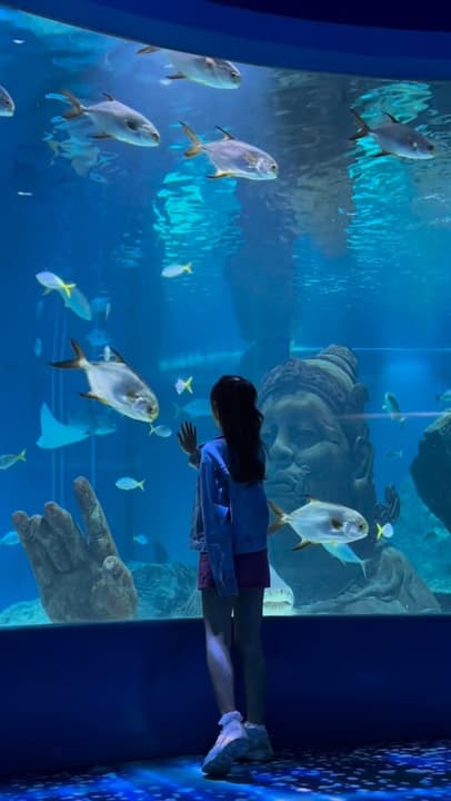 Shoal of fish in a blue dream