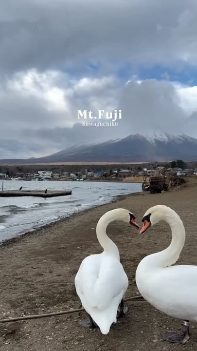 Our beautiful mountain view