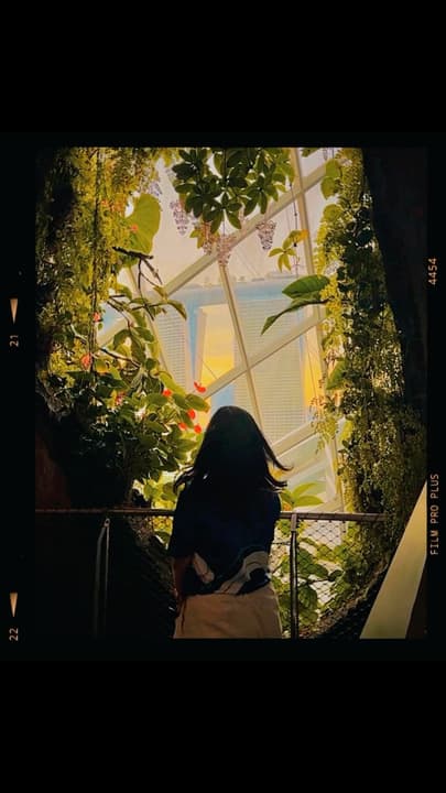 ✨