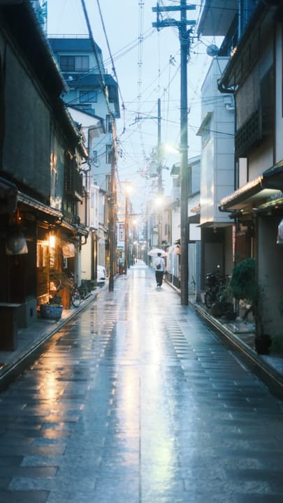 Kyoto's Beauty in All Weathers