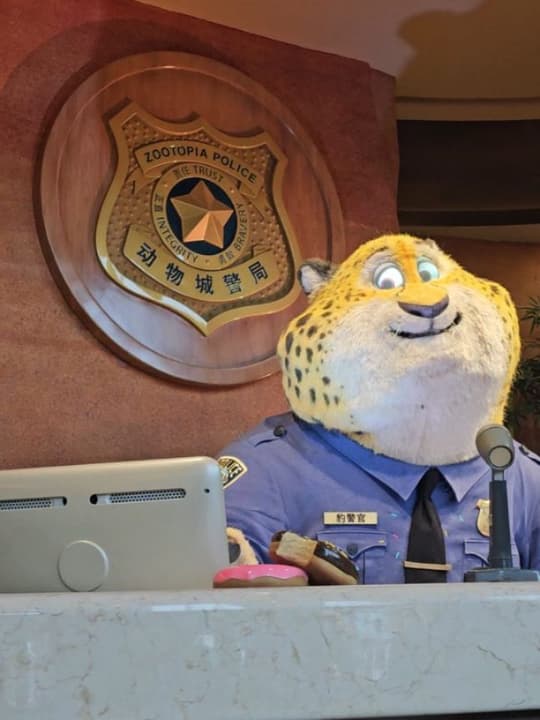 Small fragments of Shanghai Disneyland 7