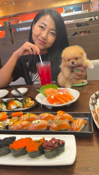 Sunday Salmon & Pom Walkies