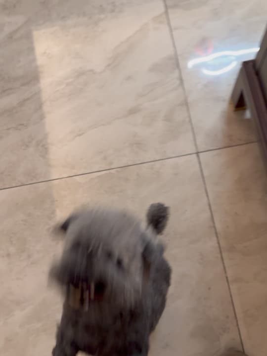 homeeeeee 7