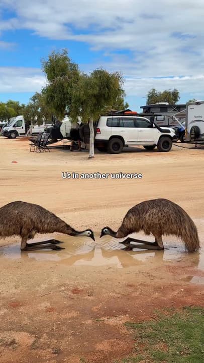 Our Universe's Emu Puddle Map