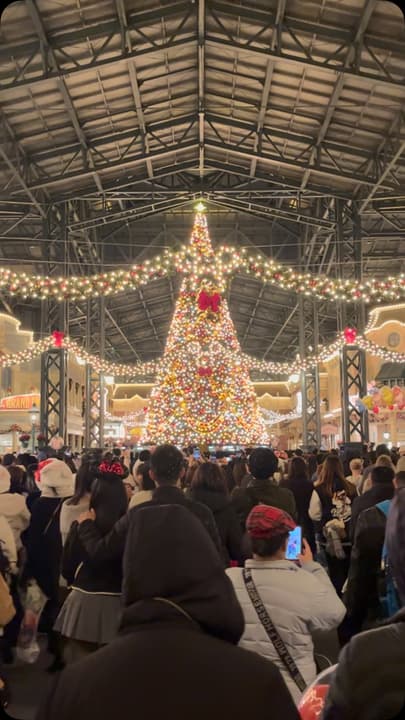 Tokyo Disney Christmas Map