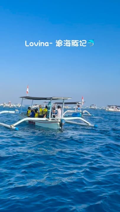 Bali Dolphin Watching and Snorkelling Guide