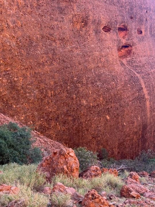 Uluru & Kata Tjuta: Days 3 & 4 7