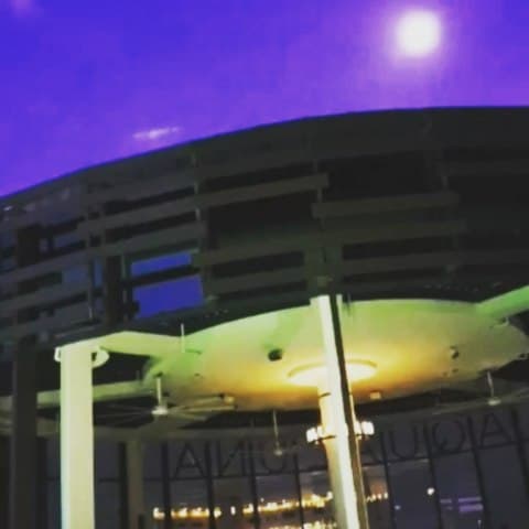 Singapore! 6