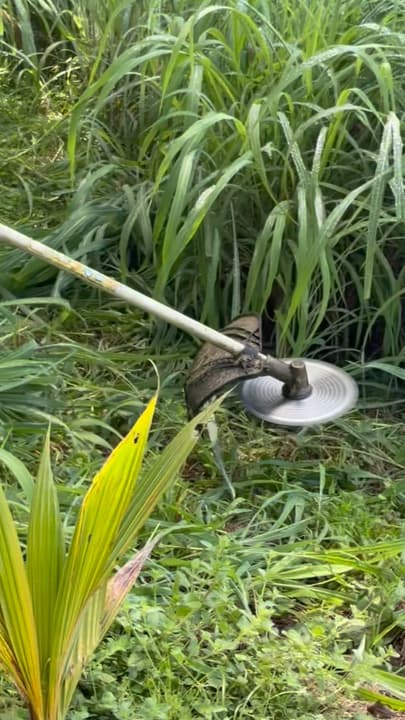 Testing the new lawnmower