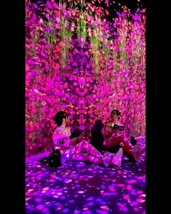 🫶🏻🪄🦋🌸🌺💫