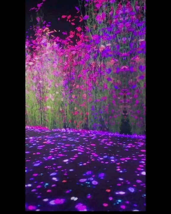 🫶🏻🪄🦋🌸🌺💫 2