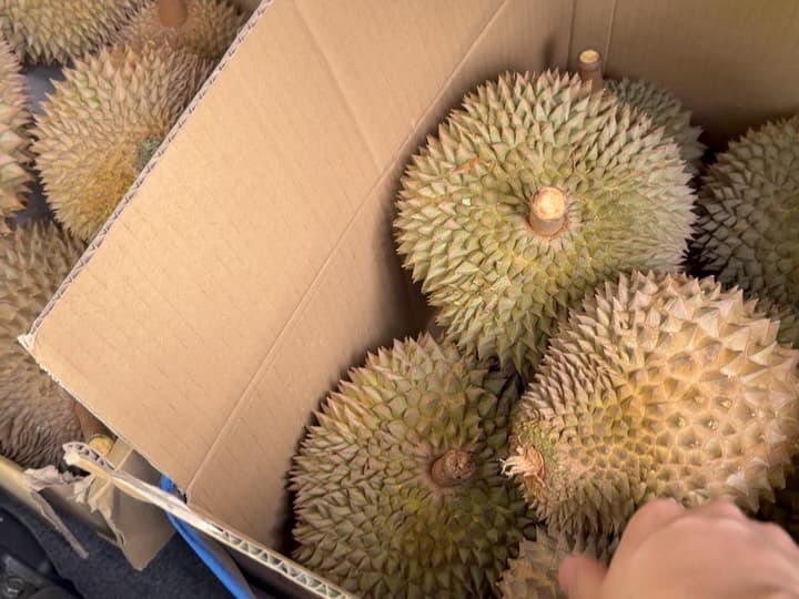 Penang Durian Feast with Mates 3