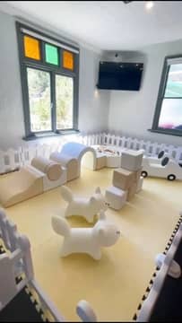 Our First Baby 2