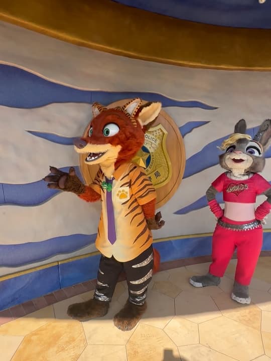 A trip to Shanghai Disneyland 5