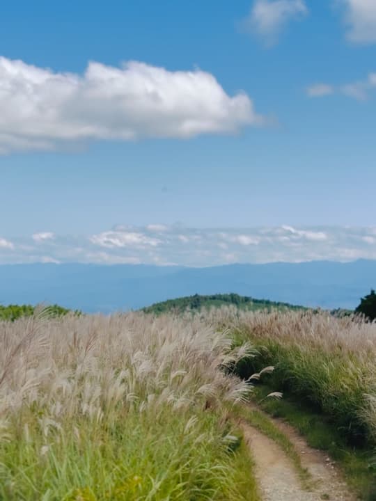 Mount Iwawo 6