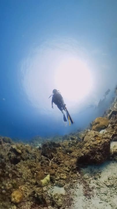 Under the sea🤿🩵