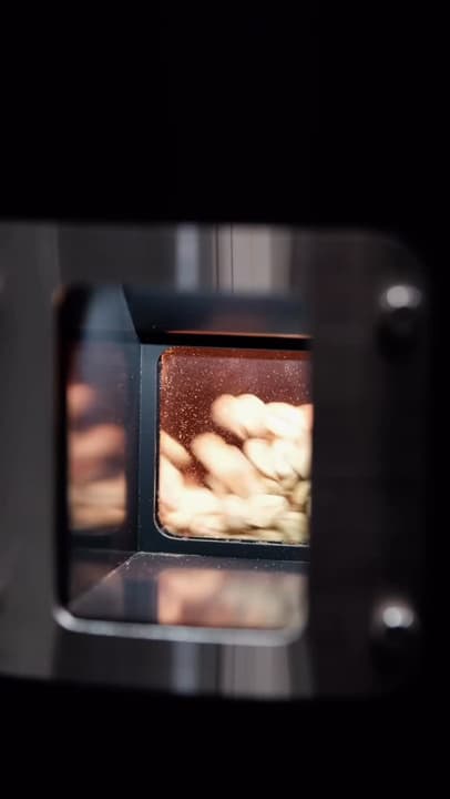 Roasting Competition Milk
