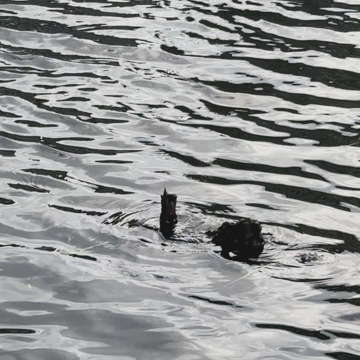 This is a smashing puzzle! 4