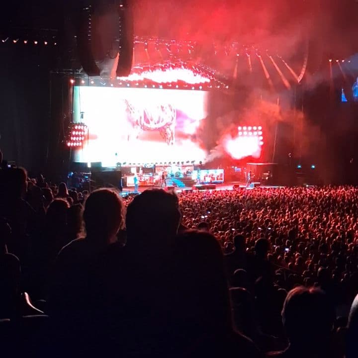Guns N' Roses 🌹 5