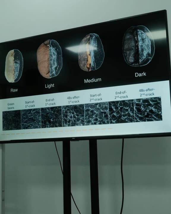 Canephora Workshop: Genetics to Cup Map 8