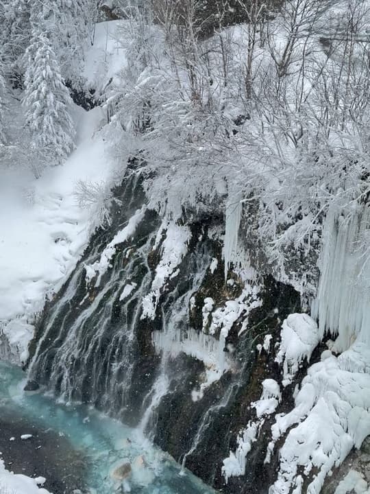 Hokkaido Winter Wonderland Tour 8