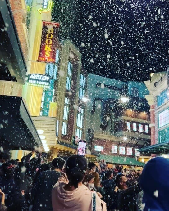Christmas in the Snow Photos 3