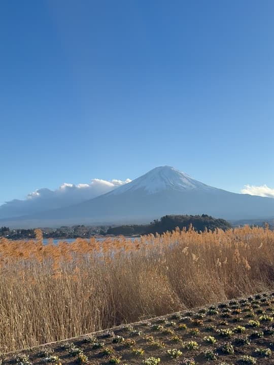 My Fuji-trip photos 7