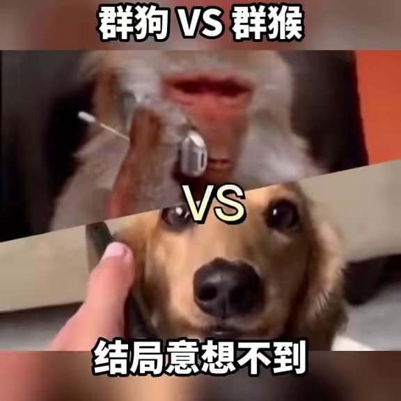 A post on Yuno
