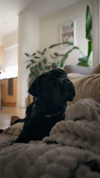 Mila 🐾