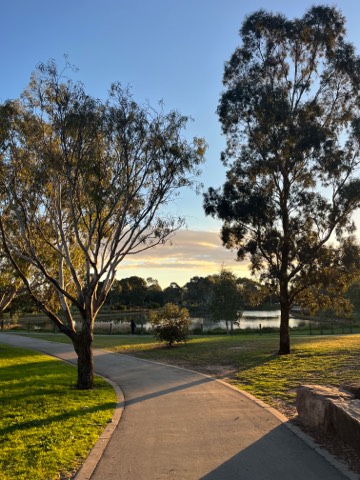 A stroll by the park 2