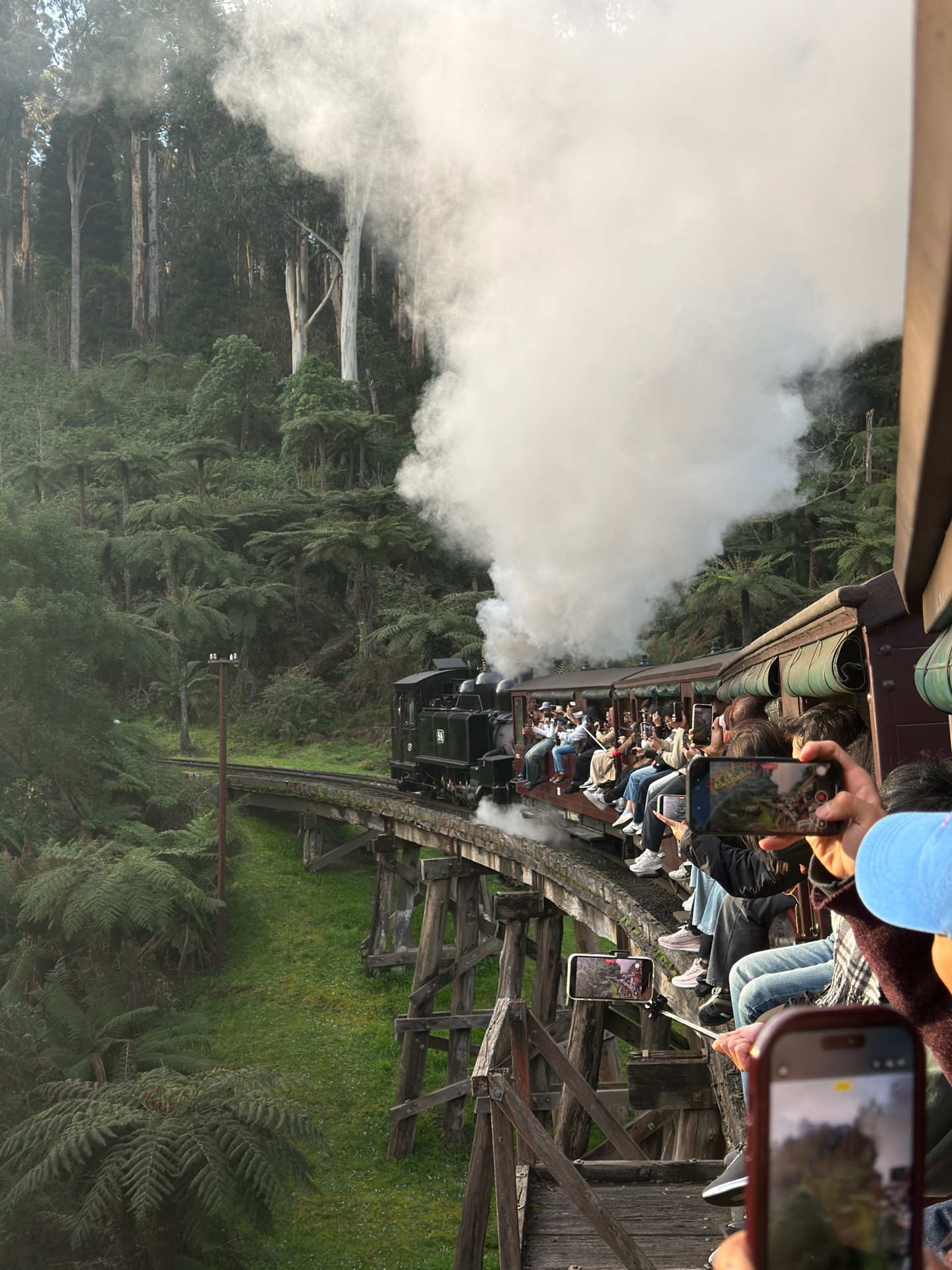Puffing Billy Railway 2