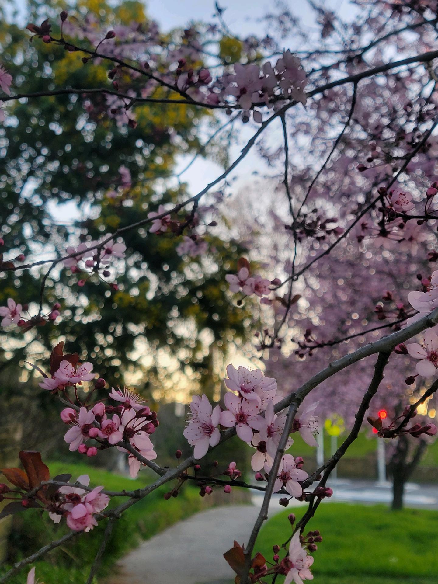 Pocket cam 2