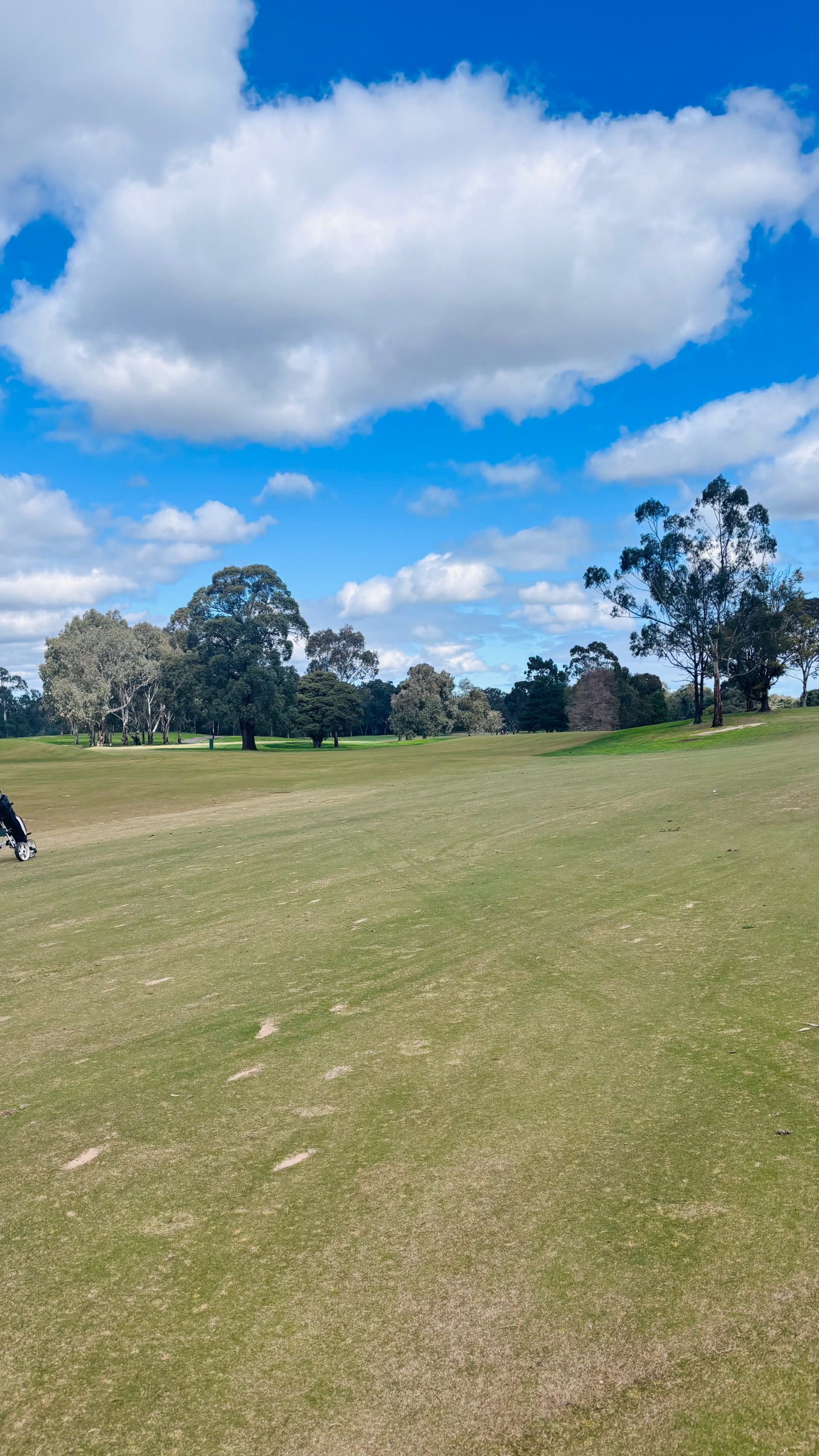 Lovely day for a round of golf!